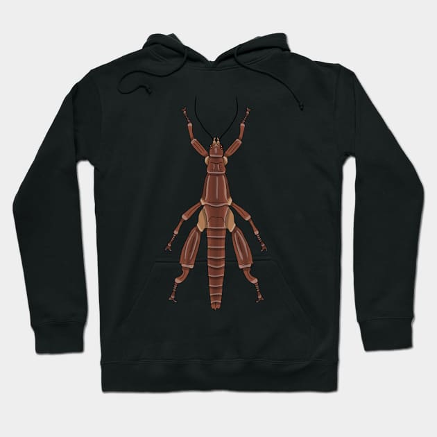 Male Lord Howe stick insect (Dryococelus australis) Hoodie by Artbychb